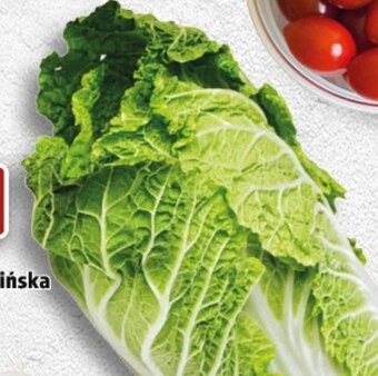 Topaz Kapusta pekińska oferta
