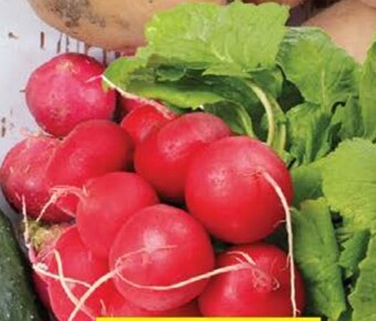 Lidl Rzodkiewki oferta