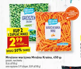 Biedronka Mrożone warzywa Mroźna Kraina 2x 450g oferta