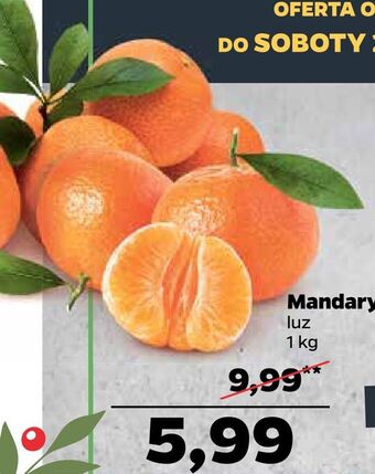 Netto Mandarynka oferta