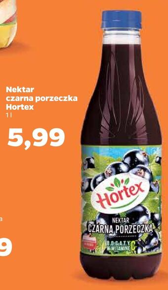 Netto Nektar czarna porzeczka hortex oferta