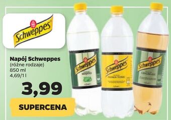 Netto Napój schweppes różne rodzaje 850 ml oferta