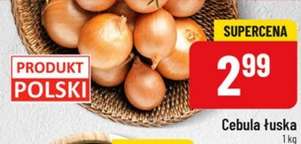 Polomarket Cebula oferta