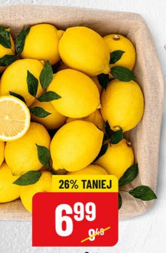 Polomarket Cytryna oferta