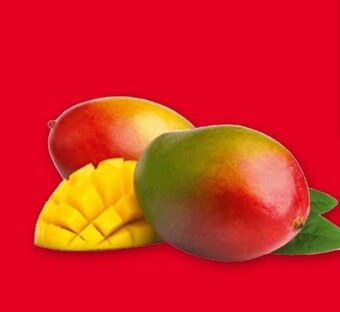 Selgros Mango oferta