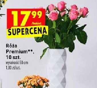 Biedronka Róża Premium 10szt. oferta