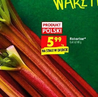 Biedronka Rabarbar 1kg oferta