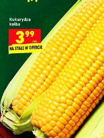 Biedronka Kukurydza kolba 1szt. oferta