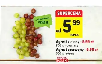 Agrest zielony