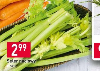 Stokrotka Seler naciowy 1szt oferta
