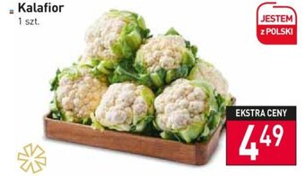 Stokrotka Kalafior oferta