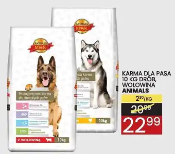 Karma dla psa 10kg