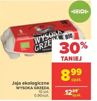 Carrefour Market Jaja ekologiczne 10szt. oferta