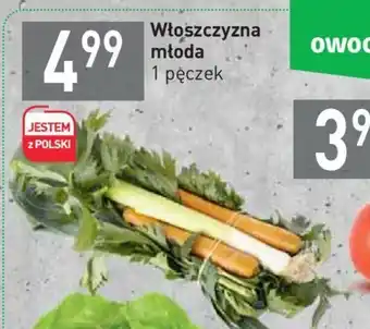 Stokrotka Włoszczyzna młoda 1szt. oferta