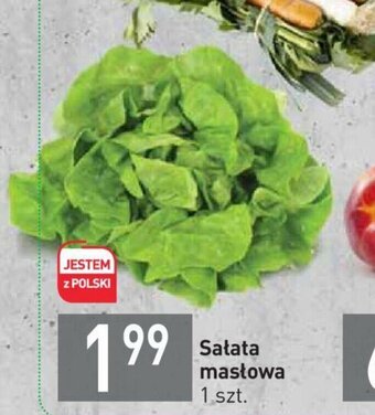 Sałata masłowa 1 szt.