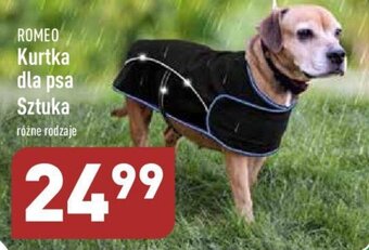 ALDI Romeo kurtka dla psa 1szt. różne rodzaje oferta