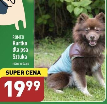 ALDI Romeo Kurtka dla psa 1szt. różne rodzaje oferta