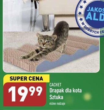 ALDI Cachet Drapak dla kota 1szt. różne rodzaje oferta