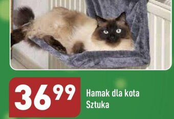 ALDI Hamak dla kota 1szt. oferta