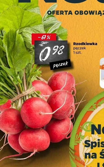 Netto Rzodkiewka pęczek oferta