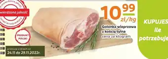 Gama Golonka wieprzowa z kością tylną 1kg oferta