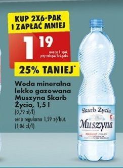 Biedronka Woda lekko gazowana muszyna skarb życia oferta