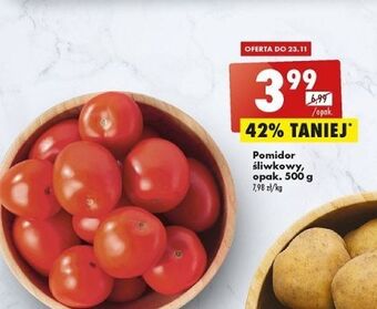 Biedronka Pomidor śliwkowy oferta