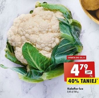 Biedronka Kalafior oferta