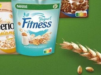 Biedronka Pasztetowa z borowikami gzella oferta