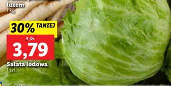 Lidl Sałata lodowa oferta