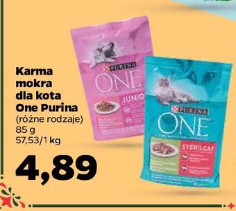 Netto Karma dla kota junior purina one oferta