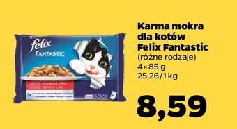 Netto Karma dla kota wiejskie smaki purina felix fantastic oferta