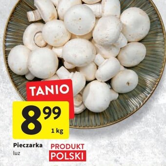 Intermarche Pieczarka luz 1kg oferta