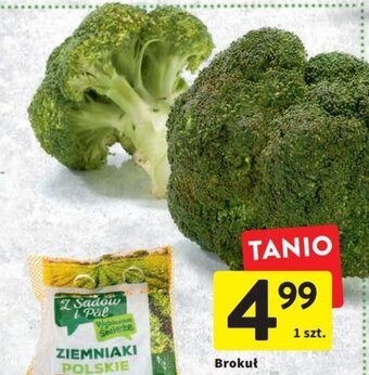 Intermarche Brokuł 1szt. oferta