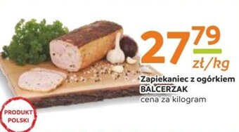 Gama Zapiekaniec balcerzak oferta