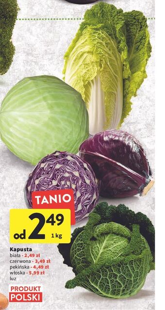 Intermarche Kapusta biała oferta