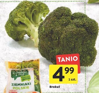 Intermarche Brokuł oferta