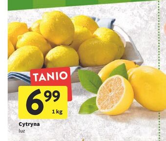Intermarche Cytryny oferta