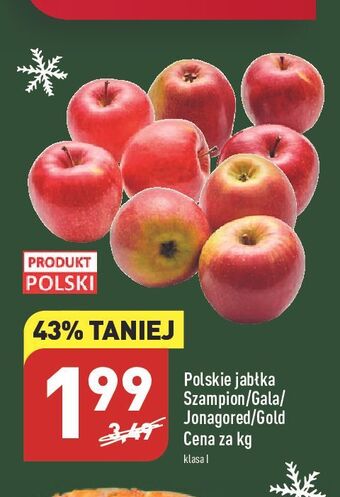 ALDI Jabłka gala oferta
