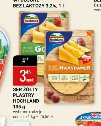 bi1 Ser żółty plastry hochland 135 g oferta