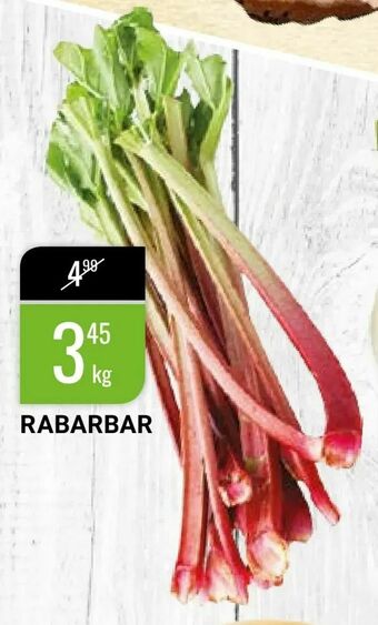 Rabarbar