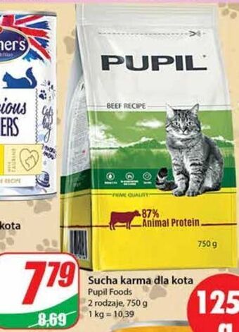 Dino Karma dla kota z wołowina pupil oferta
