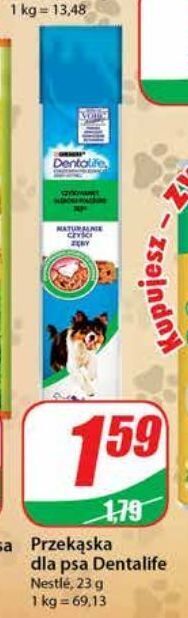Dino Przekąska dla psa purina dentalife oferta