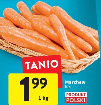 Intermarche Marchew luz 1kg oferta