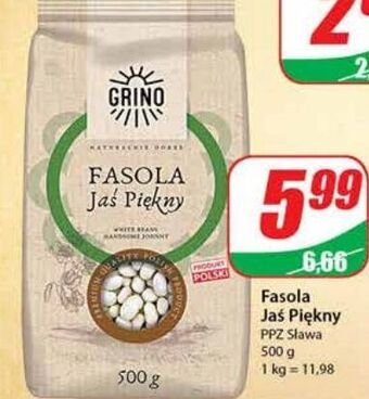 Dino Fasola jaś piękny grino oferta