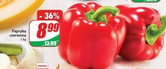 Dino Papryka czerwona oferta