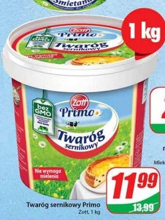 Dino Twaróg sernikowy zott primo oferta