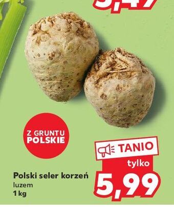 Kaufland Seler korzeń oferta