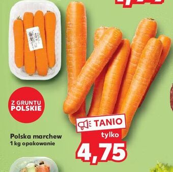 Kaufland Marchewka oferta