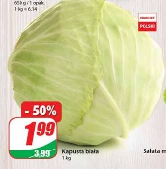 Dino Kapusta oferta